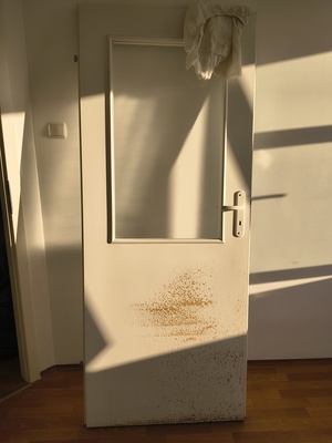 Elbląg Drzwi białe kuchenne 80cm
Sprzedam białe drzwi kuchenne dokładne wymiary 203cm x 82cm