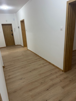 Elbląg 🏡 MIESZKANIE 3 POKOJOWE Z OGRÓDKIEM, PRZY PARKU 🌳