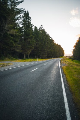 Elbląg Dam pracę, robotnik drogowy, praca, brukarz, pracownik budowlany