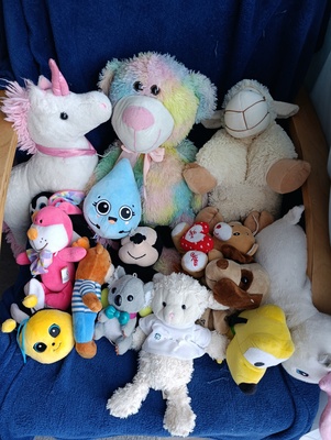 Elbląg Sprzedam różnego rodzaju misie pluszaki dla dzieci. Cena za całość. Stan bardzo dobry/ dobry do odświeżenia.