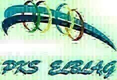 Elbląg PRZEDSIĘBIORSTWOKOMUNIKACJI SAMOCHODOWEJw ELBLĄGU Sp. z o. o.poszukuje:  MECHANIK - WULKANIZATOR  