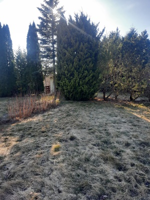 Elbląg sprzedam działkę rod Słoneczne Wzgórze na Bielanach o pow.450m &sup2;, drewniana altanka, osobne WC, woda,