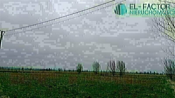 Elbląg 🌳 Działki budowlane w Dłużynie pod Elblągiem – Twój wymarzony dom na zielonej działce!EL-FACTOR