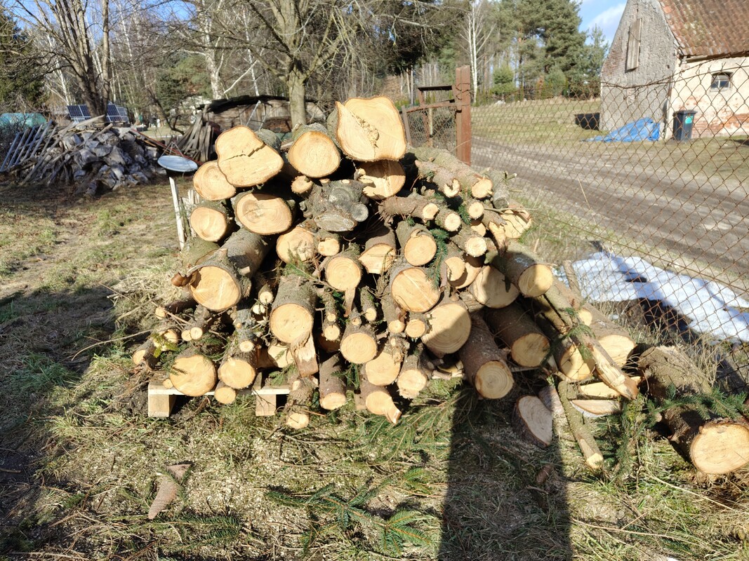 Elbląg witam,
sprzedam ok 2 i pół m3 świerka ściętego 6 miesięcy temu, pocięte na ok 1,2 m, grubsze na 0,6 m