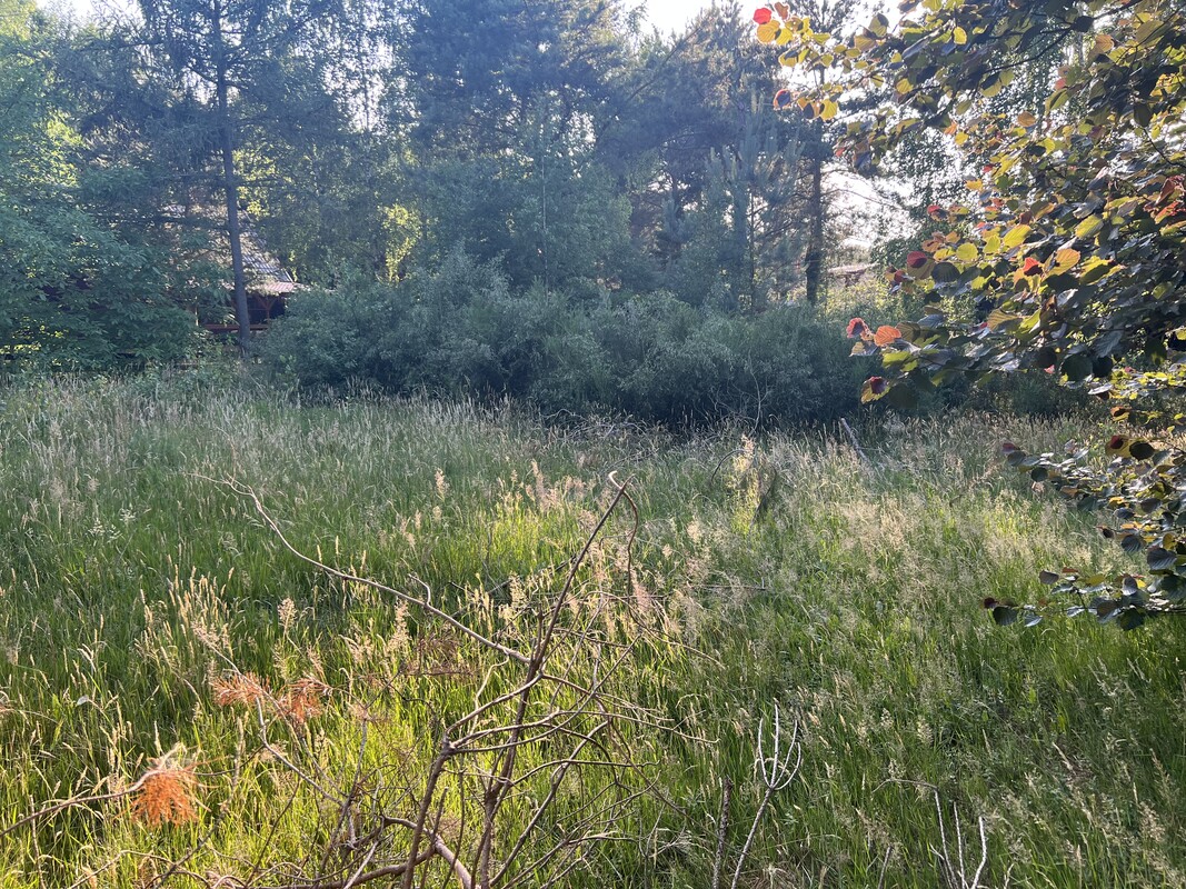 Elbląg Działka nad jeziorem, Przezmark gm. Stary Dzierzgoń