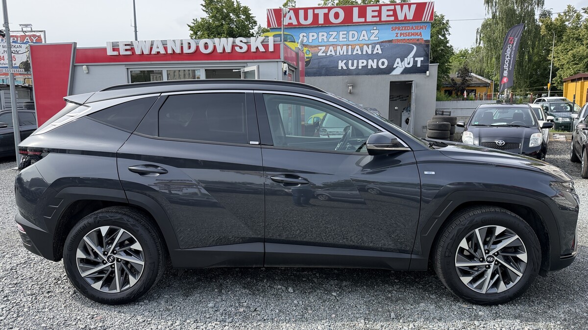 Elbląg Auto Leew LEWANDOWSKI Kupujemy i Sprzedajemy tylko dobre auta Za auta z Polskiego Salonu Płacimy Najwięcej