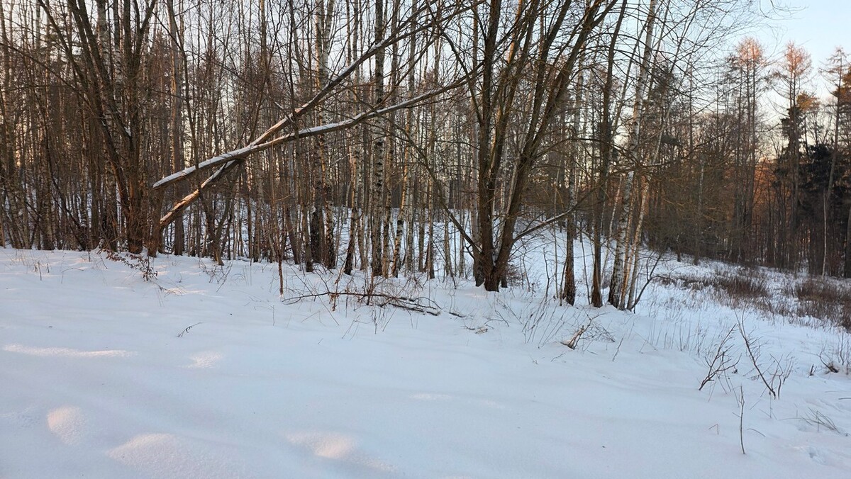 Elbląg BIURO NIERUCHOMOŚCISZULC& SZULCDziałka budowlana w miejscowości Elbląg ul. Jaworowa /Dąbrowa/ o