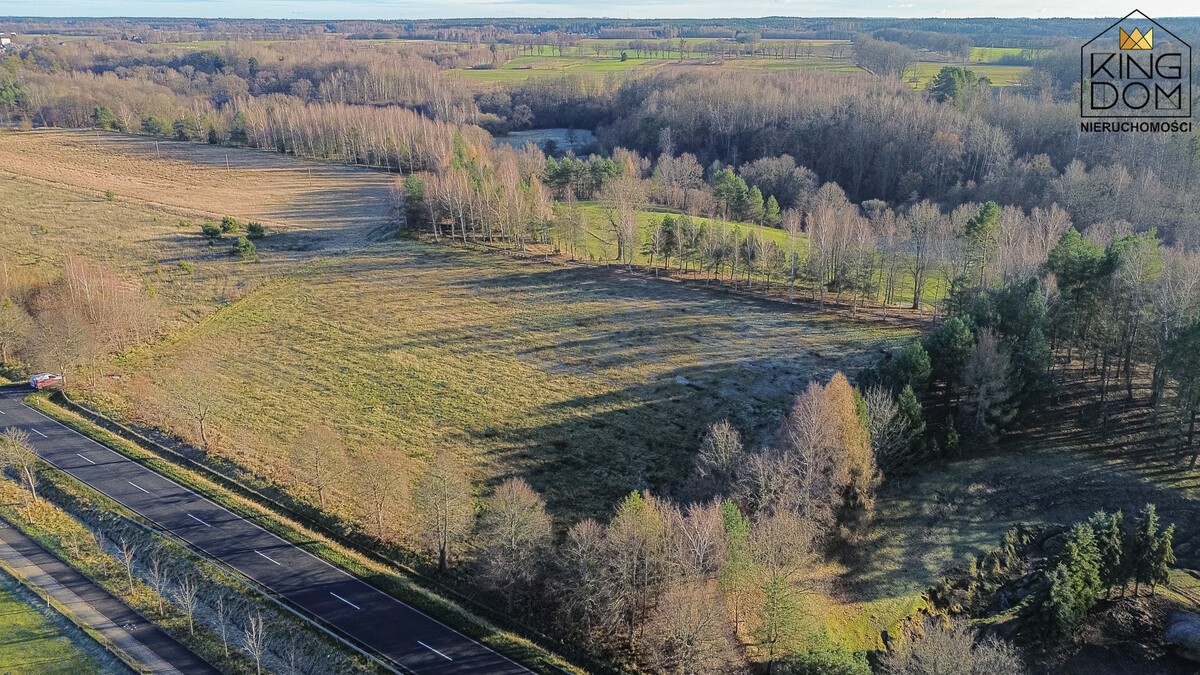 Elbląg KINGDOM NIERUCHOMOŚCI BLISKO CIEBIEDZIAŁKA Z POTENCJAŁEM - 3000 m2 BĄDŹ 11.601 m2Z WYDANYMI WARUNKAMI ZABUDOWYW