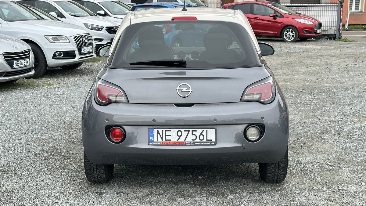Elbląg Auto Leew LEWANDOWSKI Kupujemy i Sprzedajemy tylko dobre auta Za auta z Polskiego Salonu Płacimy Najwięcej OPEL