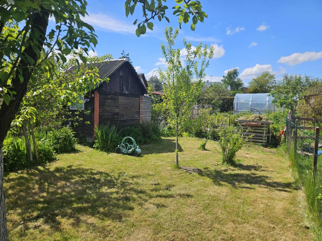 Elbląg Sprzedam działkę ROD przy Skrzydlatej