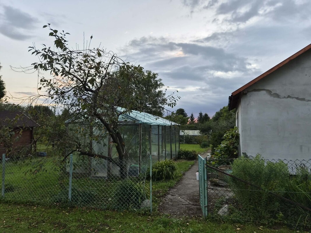 Elbląg Działka ROD Słoneczne Wzgórze 450 m² – odstąpię prawo do użytkowania | domek | szklarnia