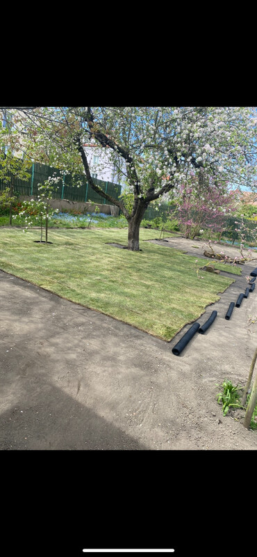 Elbląg Elbląg Usługi Ogrodnicze Zakladanie trawników