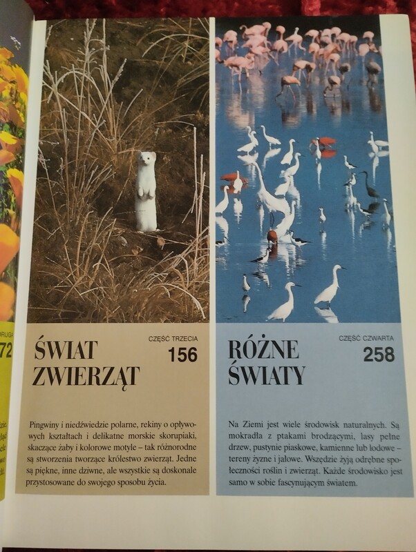 Elbląg Sprzedam książkę ABC przyrody. Książka wyjaśnia wiele tajemnic otaczającego nas świata. Część 1 - Świat, w