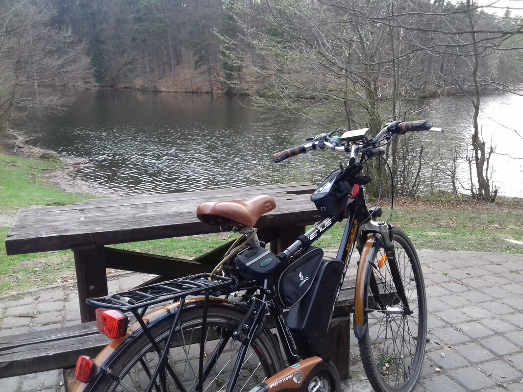 Elbląg Sprzedam męski Rower Elektryczny e-bike Ferrini. Moc 250 / 500W, 36V, roczna bateria, przerzutki Shimano,