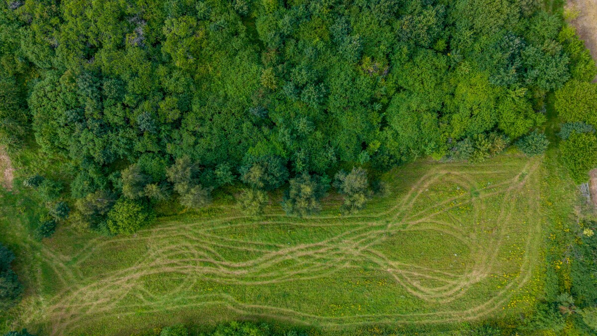 Elbląg Profesjonalne zdjęcia i ujęcia z drona z wysokości do 120 m!Fotografie działek budowlanych, rolnych,