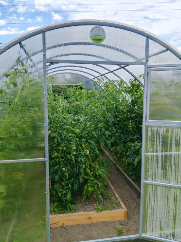 Elbląg Na sprzedaż działka ROD „ Bratek” w Elblągu – 720 m², zadbana, z domkiem i szklarnią