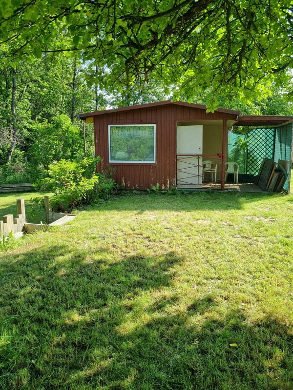 Elbląg 🌳 Działka ROD Bielany Wzgórze 🌞