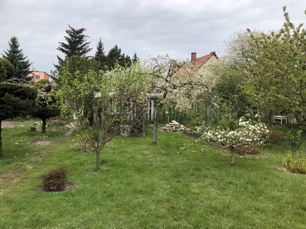 Elbląg NOWA NIŻSZA CENA
Sprzedam działkę w ROD im. ”Podchorążych”