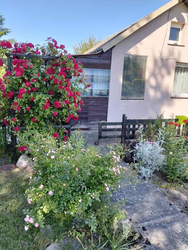 Elbląg Działka ROD, ul Malborska