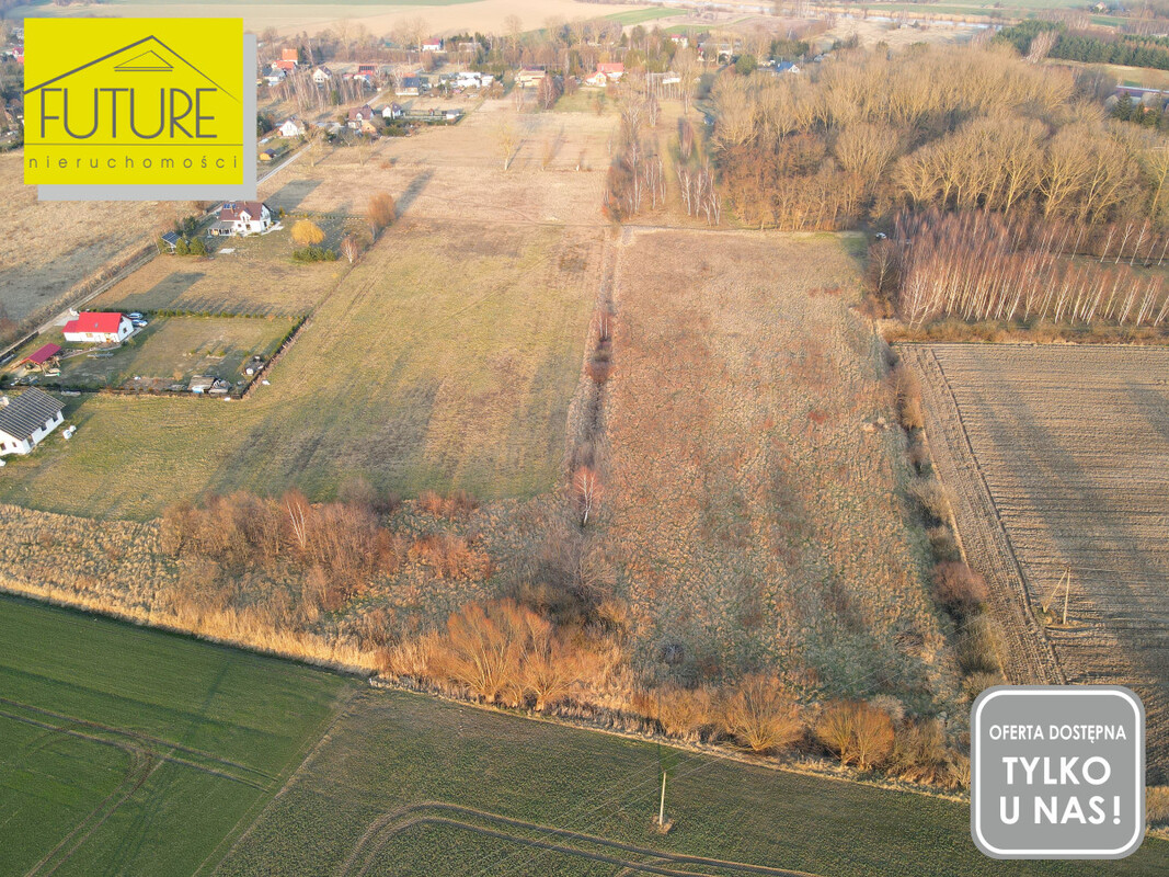 Elbląg FUTURE NIERUCHOMOŚCISprzedam działkę - PrzemysławDZIAŁKA POD ZABUDOWĘ ZAGRODOWĄ ORAZ POD AGROTURYSTYKĘ!