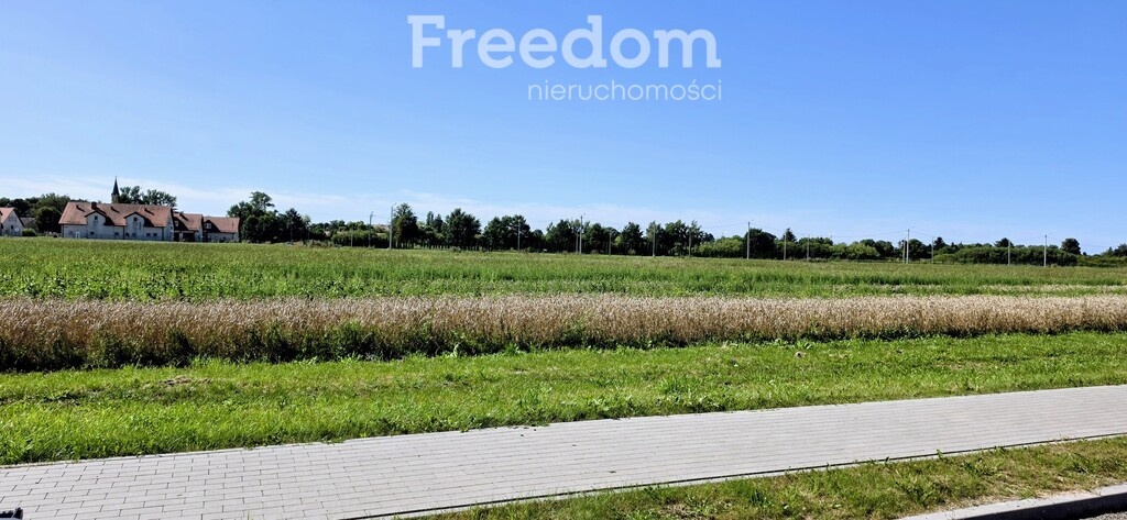 Elbląg FREEDOM NIERUCHOMOŚCISprzedam działkę - Nowy staw. Kompleks działek o powierzchni 19981m², położonych w Nowym