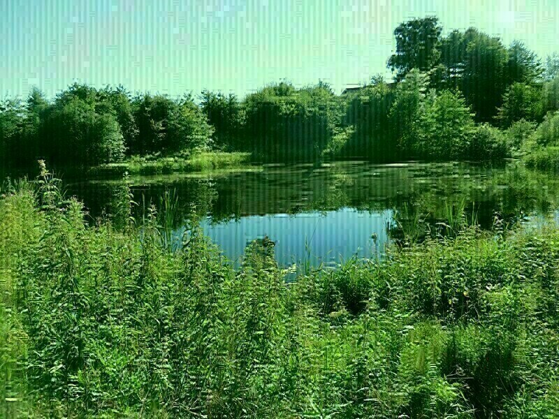 Elbląg * * * ABC NIERUCHOMOŚCI * * *NOWA CENA!! POLECAMY DZIAŁKĘ ROLNĄ W KARSZEWIEo pow. 4,9600 haz oczkiem wodnymz