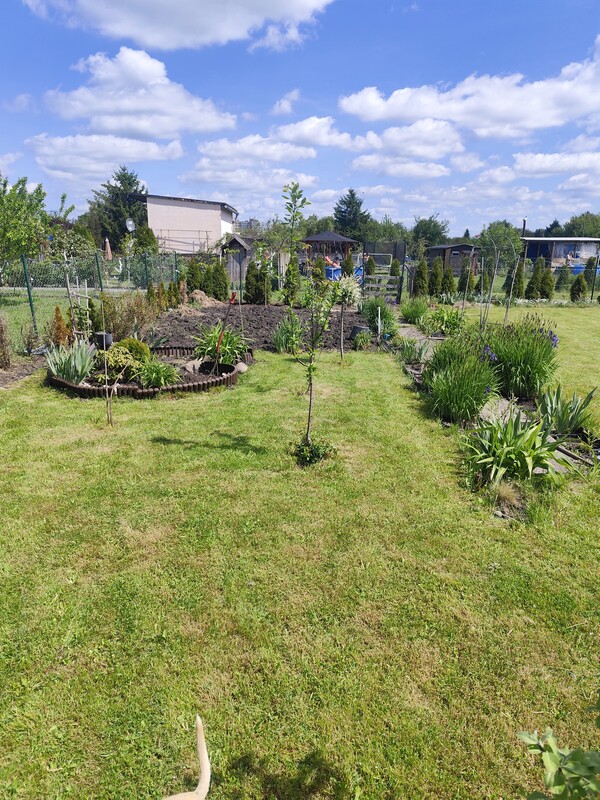Elbląg Działka ROD PRZYRODA 600m2