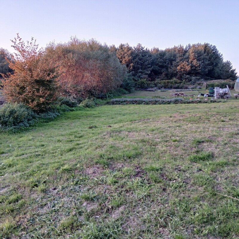 Elbląg SPRZEDAM DZIAŁKĘ BUDOWLANĄ.