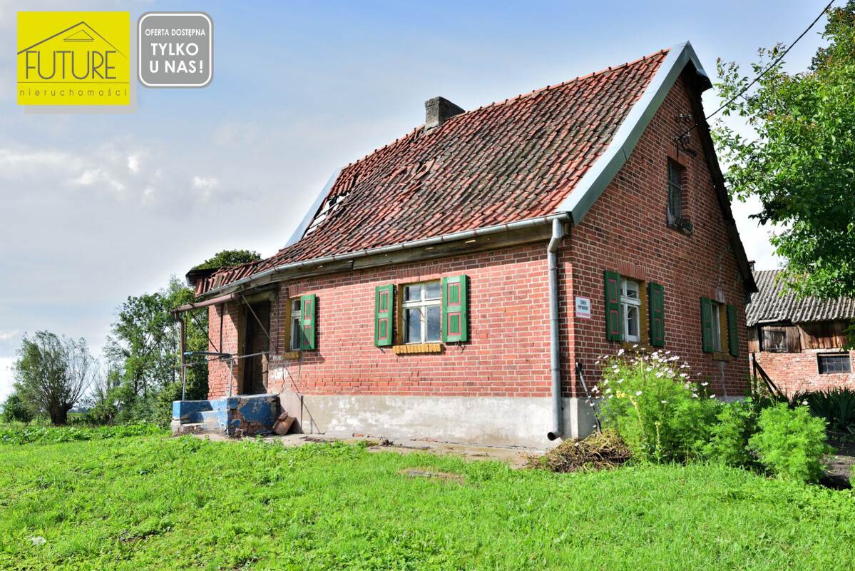 Elbląg FUTURE NIERUCHOMOŚCISprzedam dom - Solnica. SIEDLISKO NA ŻUŁAWACH WIŚLANYCH WOLNOSTOJĄCY DOM POWIERZCHNIA