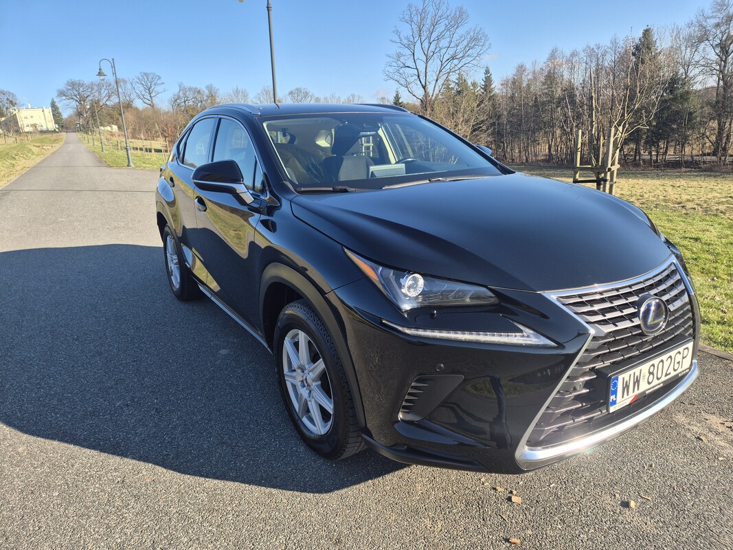 Elbląg Lexus NX300h 2019 | Hybryda Automat | AWD 4x4 |Optimum Elegance | Dwa komplety kół