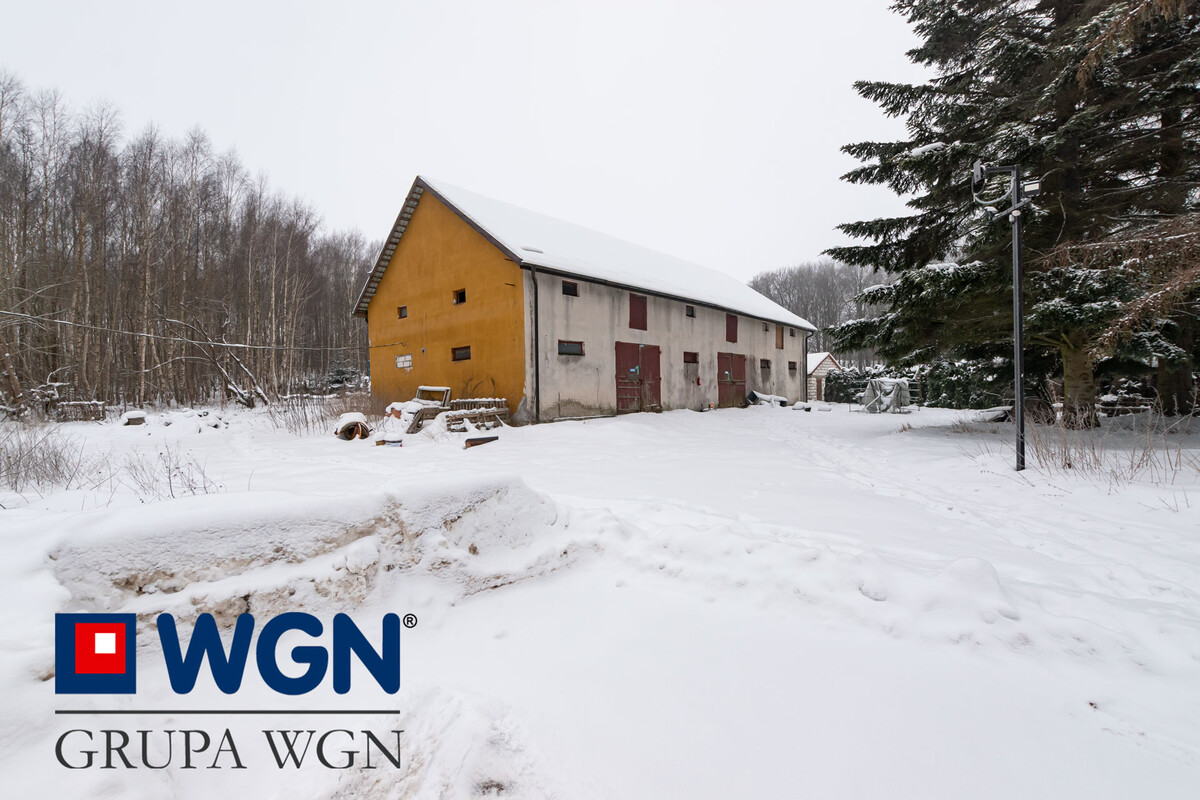 Elbląg Na sprzedaż nieruchomość z dużym potencjałem inwestycyjnym – działka 6131 m² z zabudową w