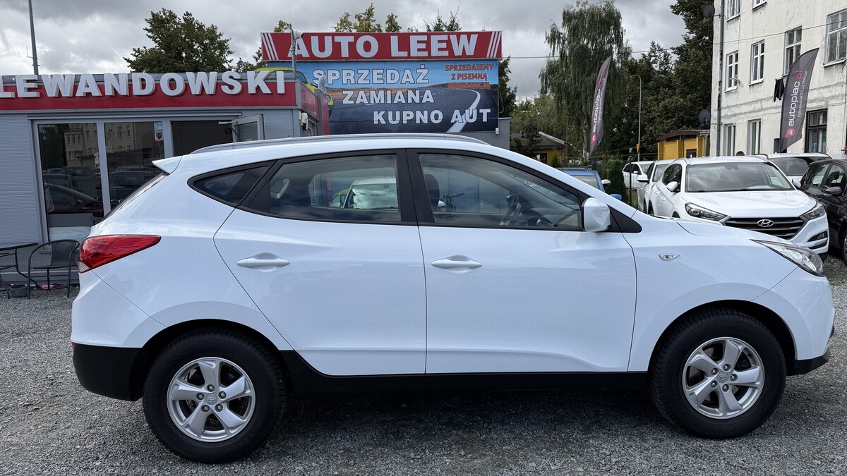 Elbląg Auto Leew LEWANDOWSKI Kupujemy i Sprzedajemy tylko dobre auta Za auta z Polskiego Salonu Płacimy Najwięcej