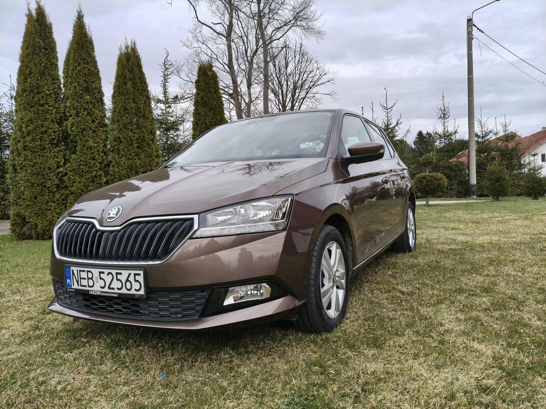 Elbląg SKODA FABIA AMBITION 1.0 TSI Pierwszy właściciel. Polski salon.