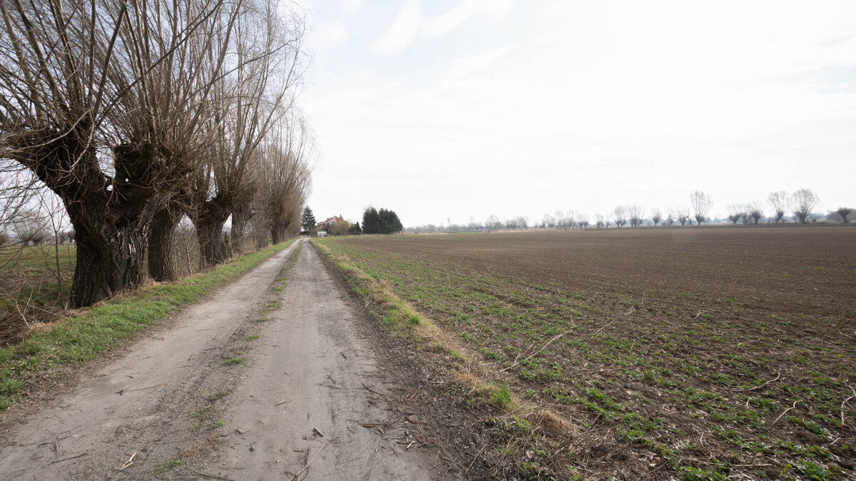 Elbląg * * * ABC NIERUCHOMOŚCI * * *20,48 ha POTENCJAŁU POD ELBLĄGIEM – inwestycja w ziemię, która pracuje na