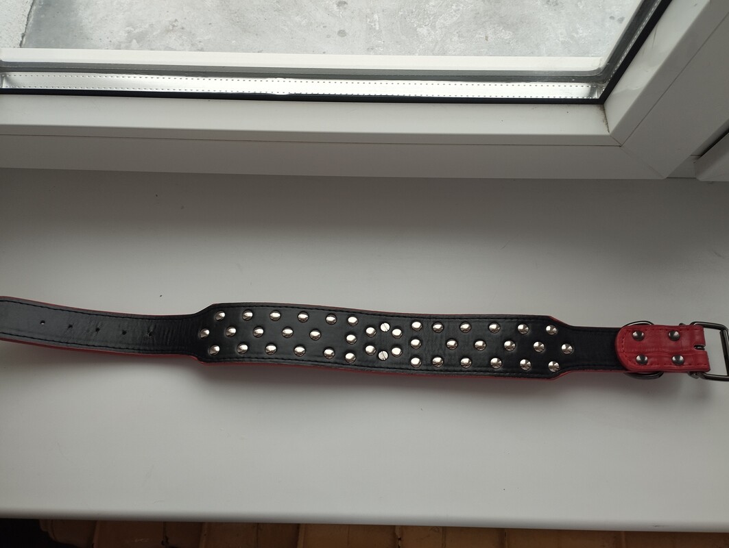 Elbląg Witam sprzedam smycz ze skóry krokodyla roz. S nie używana nowa. Polecam