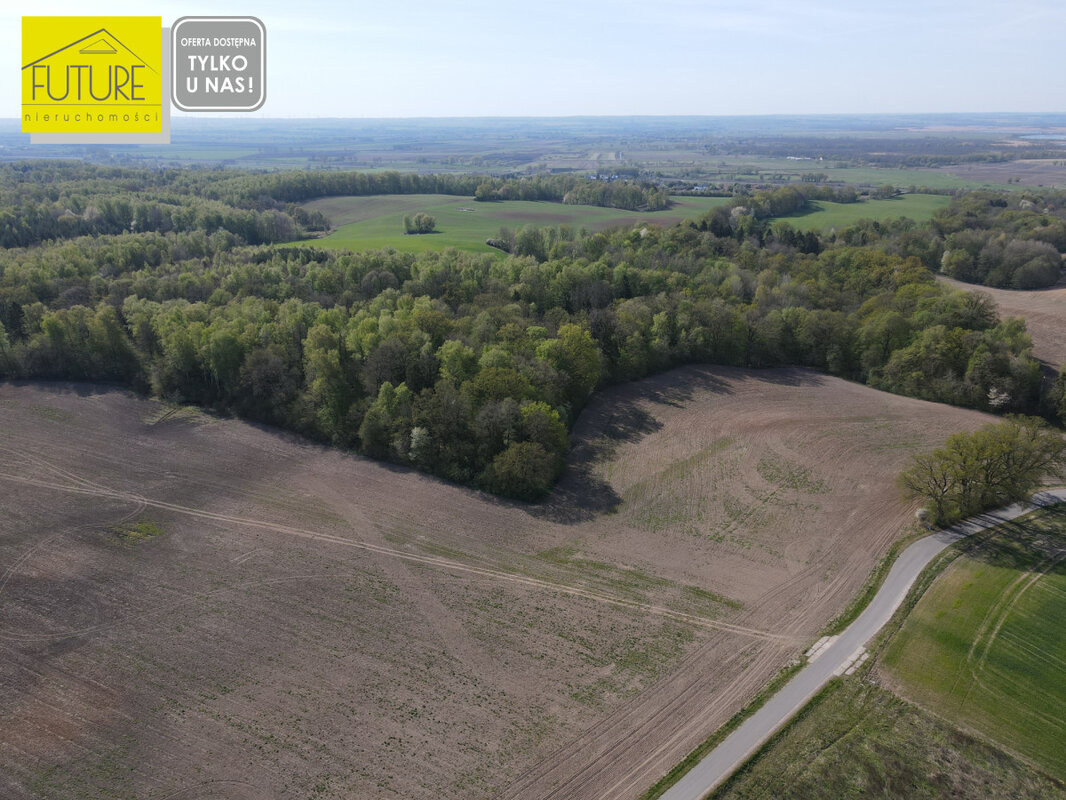 Elbląg FUTURE NIERUCHOMOŚCISprzedam działkę - Nowina. DZIAŁKA ROLNA - NOWINA GM. ELBLĄGCENA: 350 000