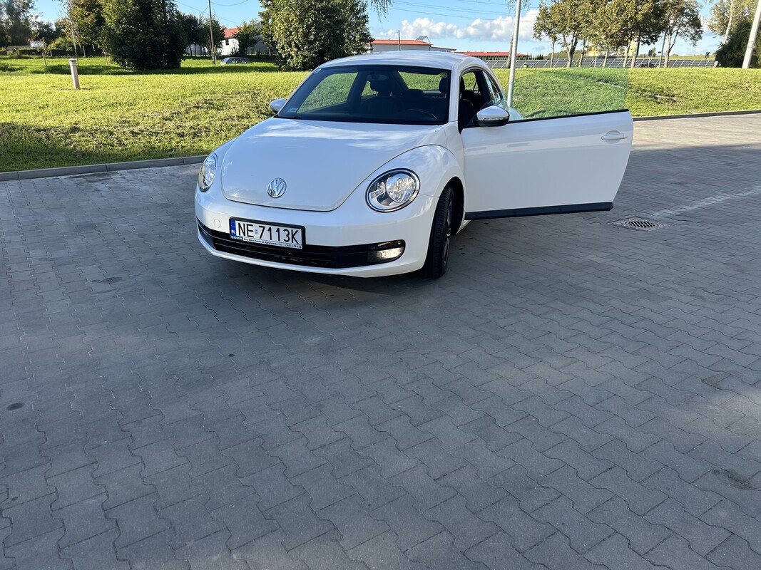 Elbląg Vw new beetle