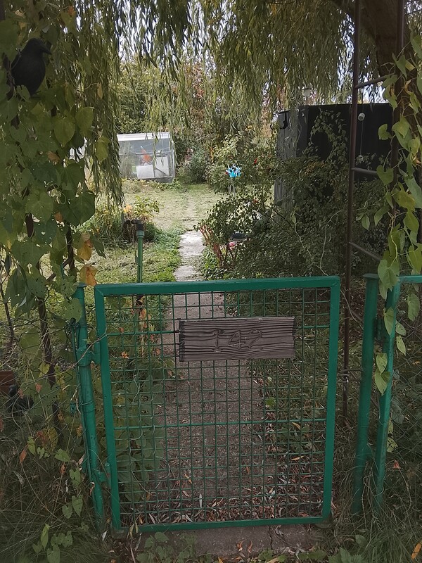 Elbląg Sprzedam działkę o powierzchni 380m ROD Przyroda ul Malborska na działce jest woda prąd altanka z dobudówką