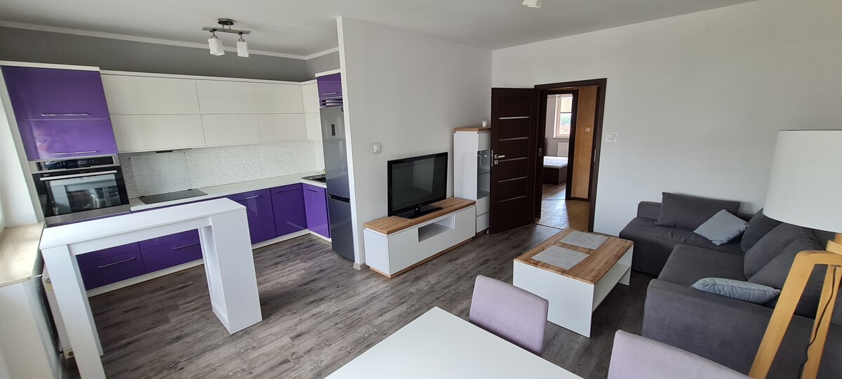 Elbląg Do wynajęcia mieszkanie w Elblągu ul. Legionów, dwa pokoje, 54m2,balkon.