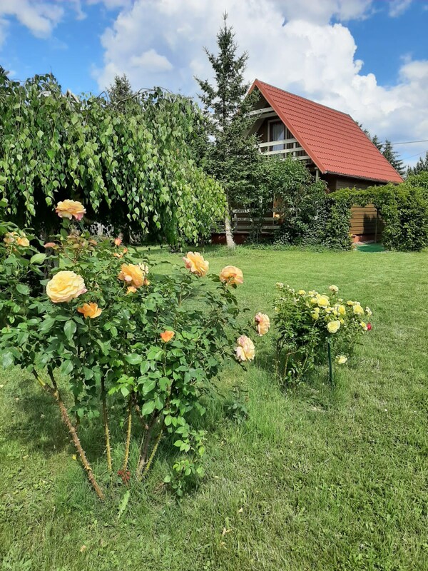 Elbląg Na sprzedaż jednorodzinny dom wolnostojący i atrakcyjna, zagospodarowana działka o powierzchni 2000 m²,