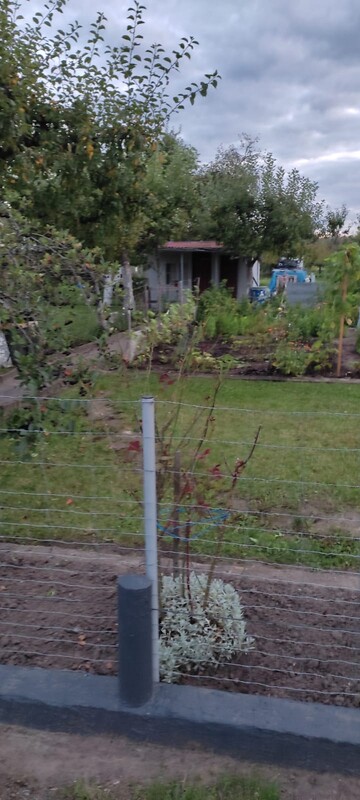 Elbląg SPRZEDAM DZIAŁKĘ ROD ŻWIRKI I WIGURY UL. SKRZYDLATA, ELBLĄG