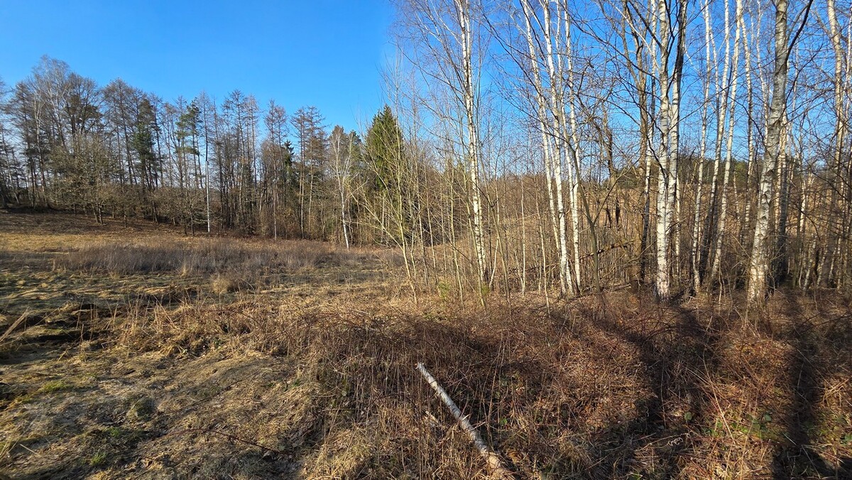 Elbląg SZULC & SZULC BIURO NIERUCHOMOŚCI NA SPRZEDAŻDziałka budowlana - Elbląg ul. JaworowaPowierzchnia: 5075 m2