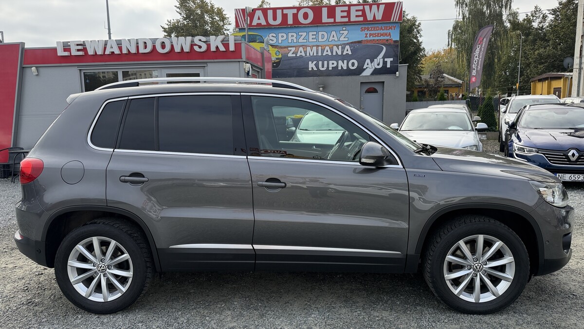 Elbląg Auto Leew LEWANDOWSKI Kupujemy i Sprzedajemy tylko dobre auta Za auta z Polskiego Salonu Płacimy Najwięcej