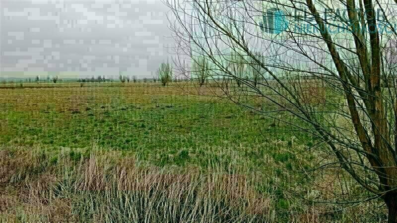 Elbląg 🌳 Działki budowlane w Dłużynie pod Elblągiem – Twój wymarzony dom na zielonej działce!EL-FACTOR