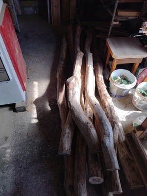 Elbląg Sprzedam kołki dębowe, jak urosły z lasu czyli poskręcane, suche, zaimpregnowane, okorowane, idealne na