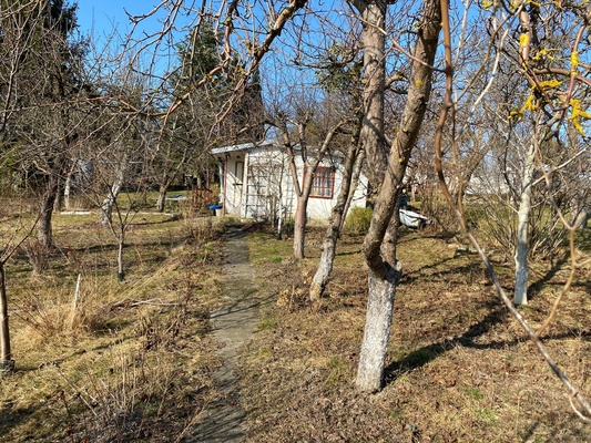Elbląg           SPRZEDAM DZIAŁKĘ ROD NA BIELANACH
                           JAGIELOŃCZYKA''
