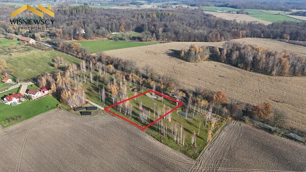 Elbląg WIŚNIEWSCY NIERUCHOMOŚCI Sp. z o.o.Sprzedam działkę - Dawidy. Oferta sprzedaży działki rolnej z wydaną