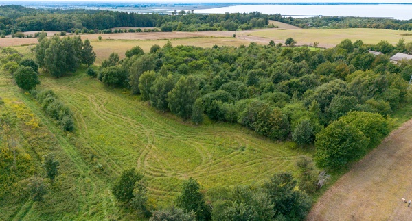 Elbląg Wyjątkowa działka rolna na sprzedaż w miejscowości Łęcze – 1 hektar!