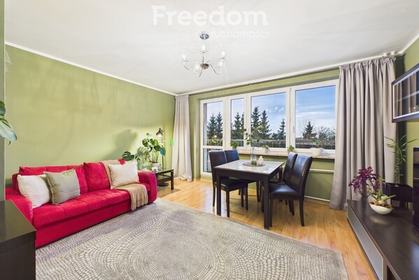 Elbląg FREEDOM NIERUCHOMOŚCISprzedam mieszkanie - Elbląg, Fromborska. Na sprzedaż ustawne mieszkanie 3-pokojowe o