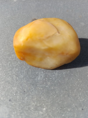 Elbląg Sprzedam bursztyn  84 gramy. .cena 400 zł do negocjacji